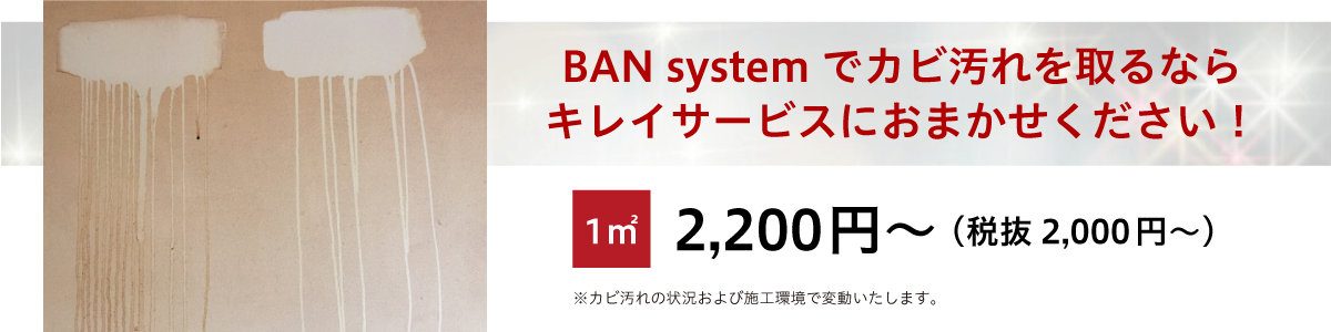 BAN systemでカビ汚れを取るならキレイサービスにおまかせください！